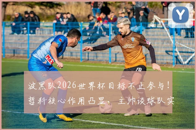 波黑队2026世界杯目标不止参与！哲科核心作用凸显，主帅谈球队实力与历史机遇